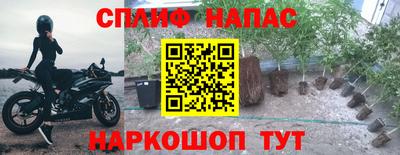 крисы Донецк