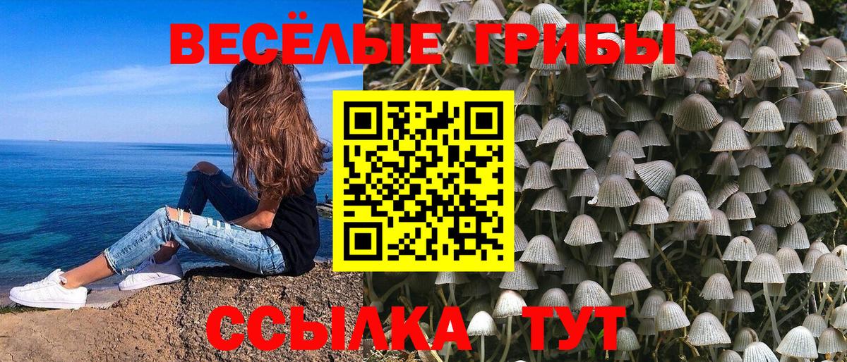 Псилоцибиновые грибы MAGIC MUSHROOMS Назрань